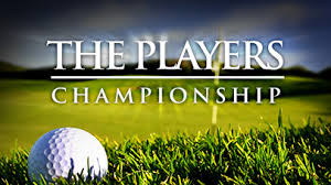 Logo of THE PLAYERS Championship golf tournament on grass background.